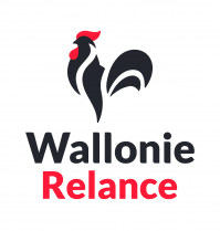 image Logo_RW_plan_relance.png (0.1MB)
Lien vers: https://www.wallonie.be/fr/plans-wallons/plan-de-relance-de-la-wallonie