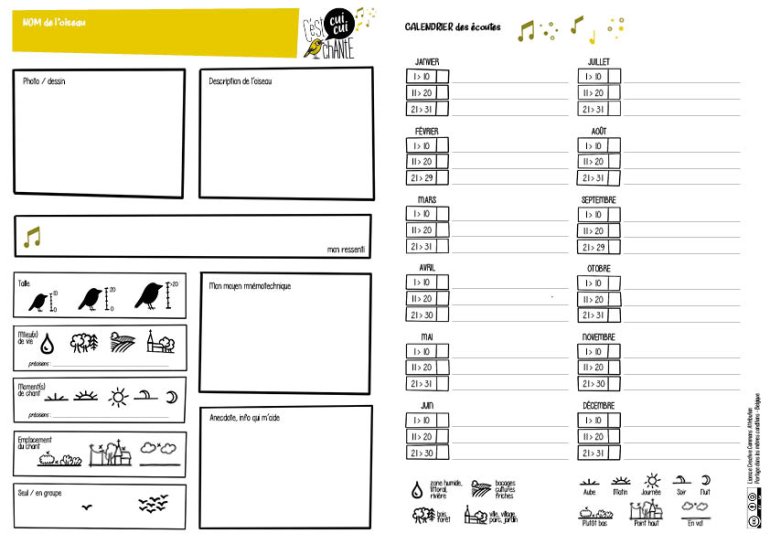 image PAGE_OISEAU_identification2.jpg (0.1MB)