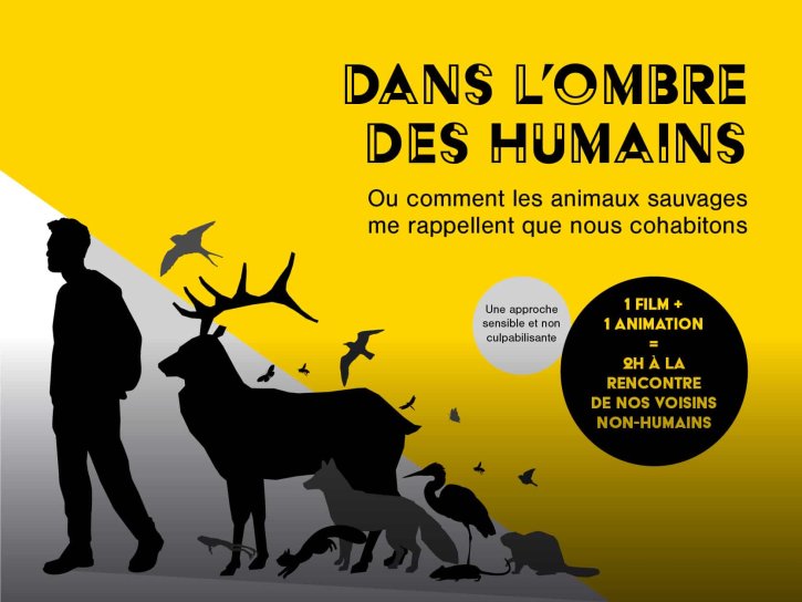 DANS L'OMBRE DES HUMAINS
Lien vers: https://danslombredeshumains.be/?PagePrincipale