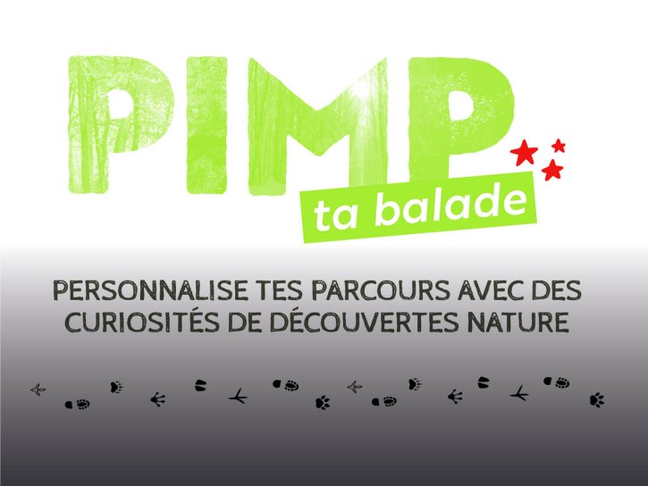 Pimp ta balade
Lien vers: https://pimp-ta-balade.be/?PagePrincipale