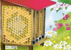 LeJeuAbeillezVous_plateau-jeu-abeilles.png