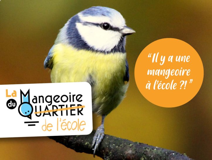 MQecole
Lien vers: https://lamangeoireduquartier.org/?PagePrincipale