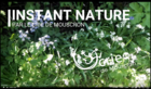instantsnature_instant-nature.png