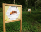 lexpoabeilles_expo-abeilles.png