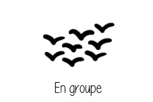engroupe2.jpg (14.6kB)