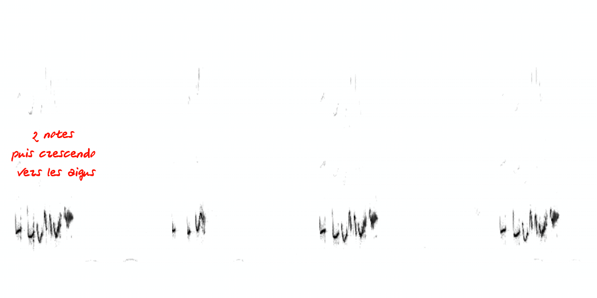 image spectrogramgrimp.png (0.1MB)