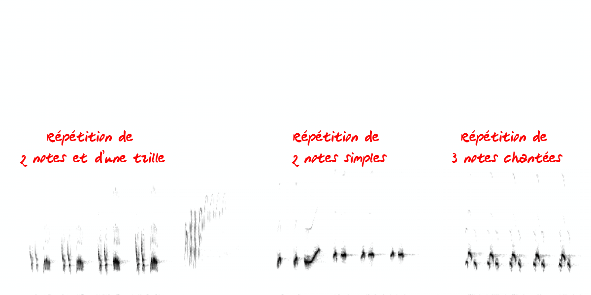 image spectrogramcharbook.png (0.1MB)