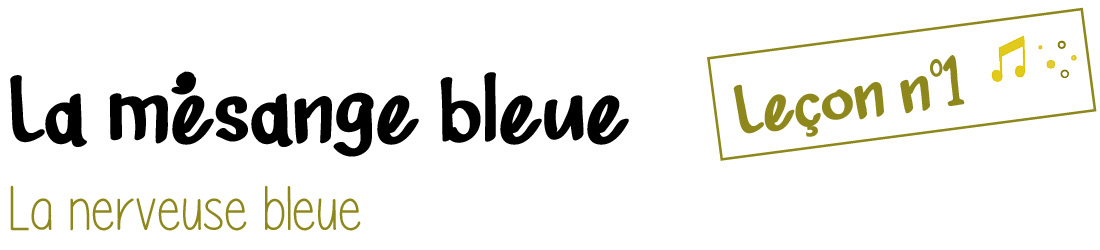 image MESANGEBLEUE.jpg (54.0kB)