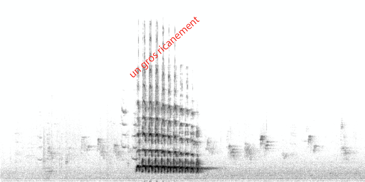 image spectropicvert.png (0.4MB)
