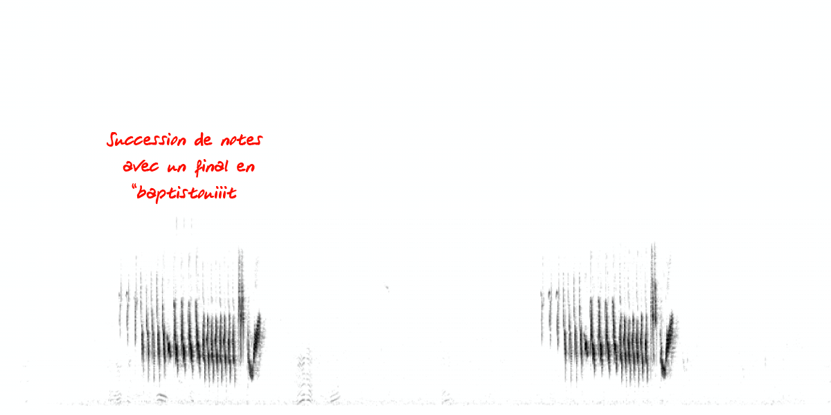 image spectrogramgrivemusi.png (0.1MB)
