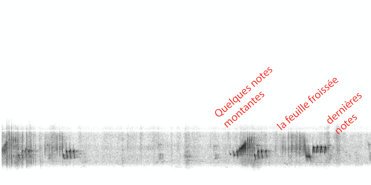 image spectrogramrougequeue.png (0.4MB)
