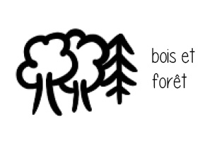 image bois_foret.jpg (36.5kB)