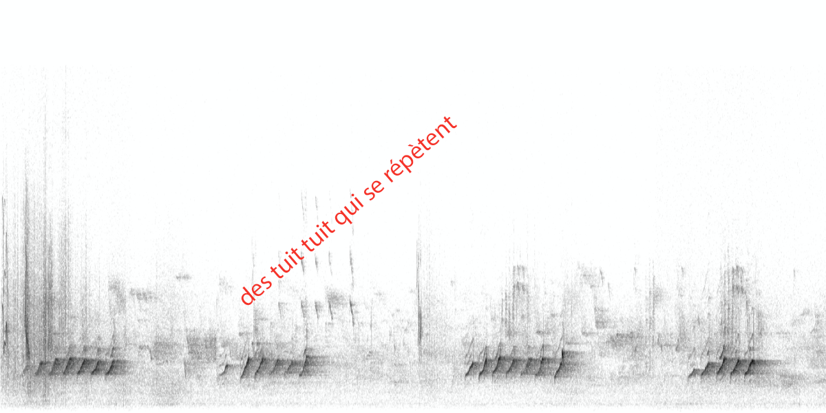 image spectrogrsitelle.png (0.4MB)